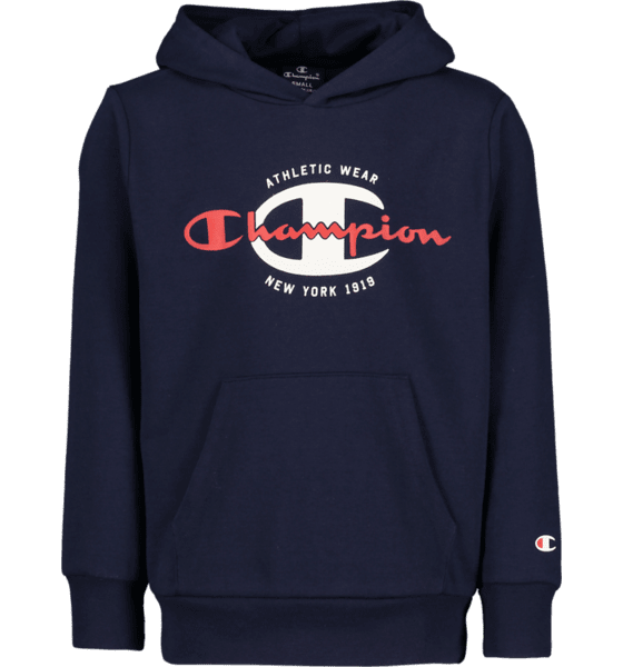 Champion hoodie hot sale stadium outlet